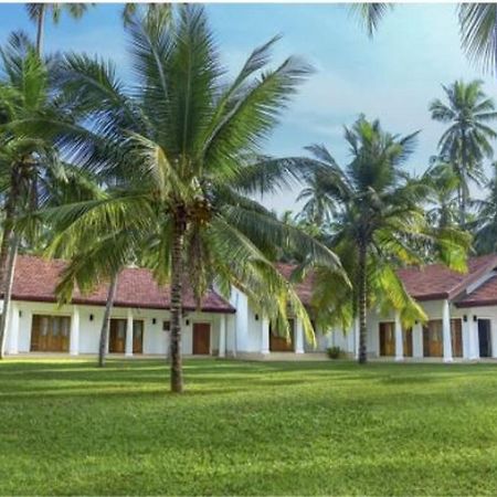 Coco Villa Peach Tree Katunayaka Ngoại thất bức ảnh